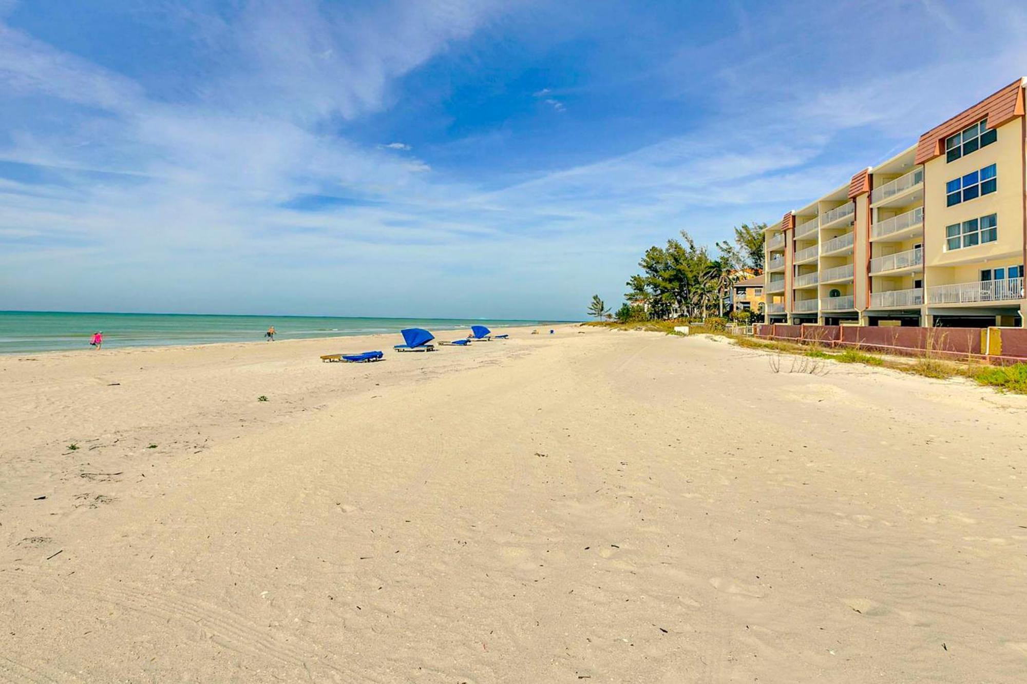 Tropical Paradise Clearwater Beach Værelse billede