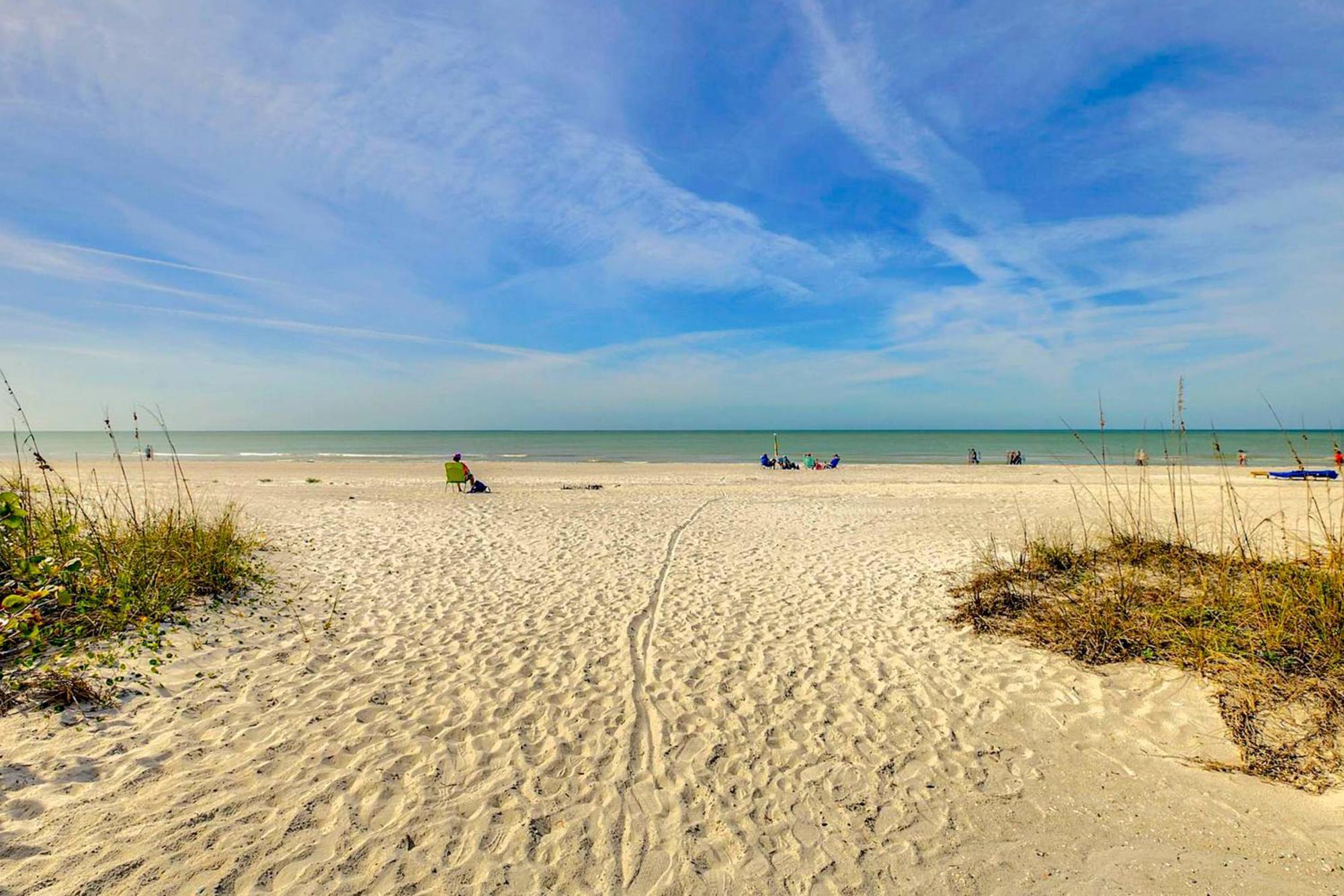 Tropical Paradise Clearwater Beach Værelse billede