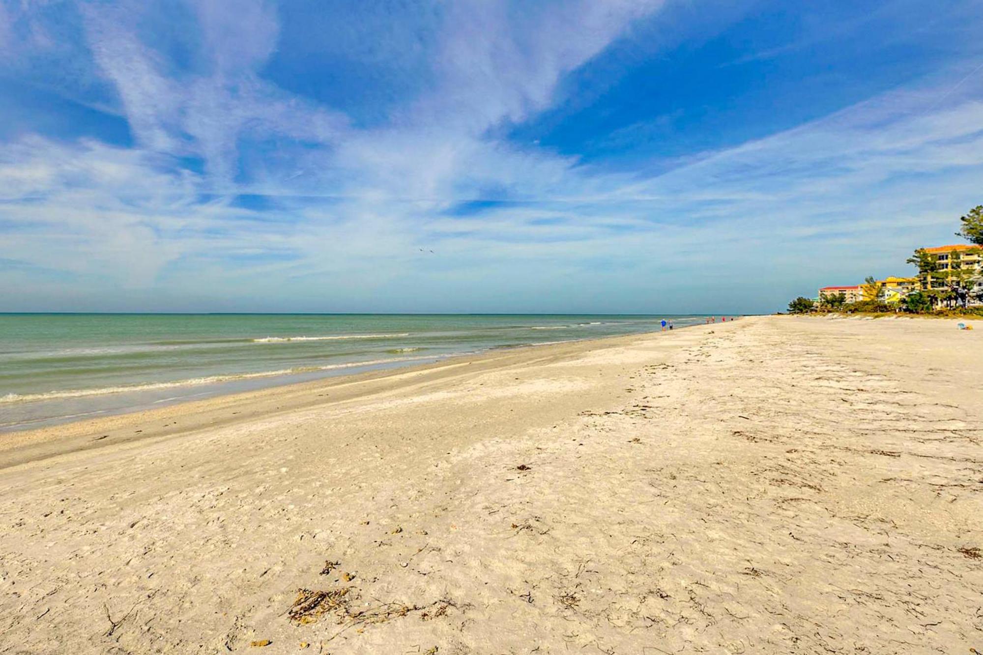 Tropical Paradise Clearwater Beach Værelse billede