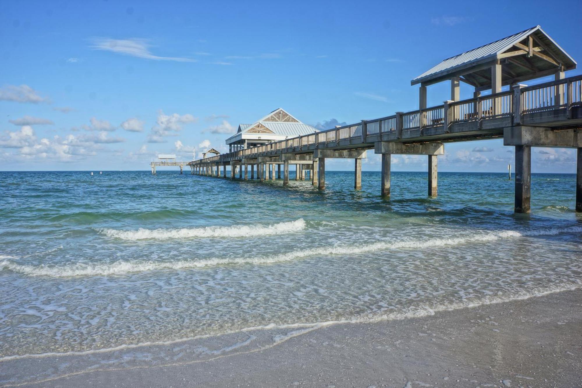Tropical Paradise Clearwater Beach Værelse billede