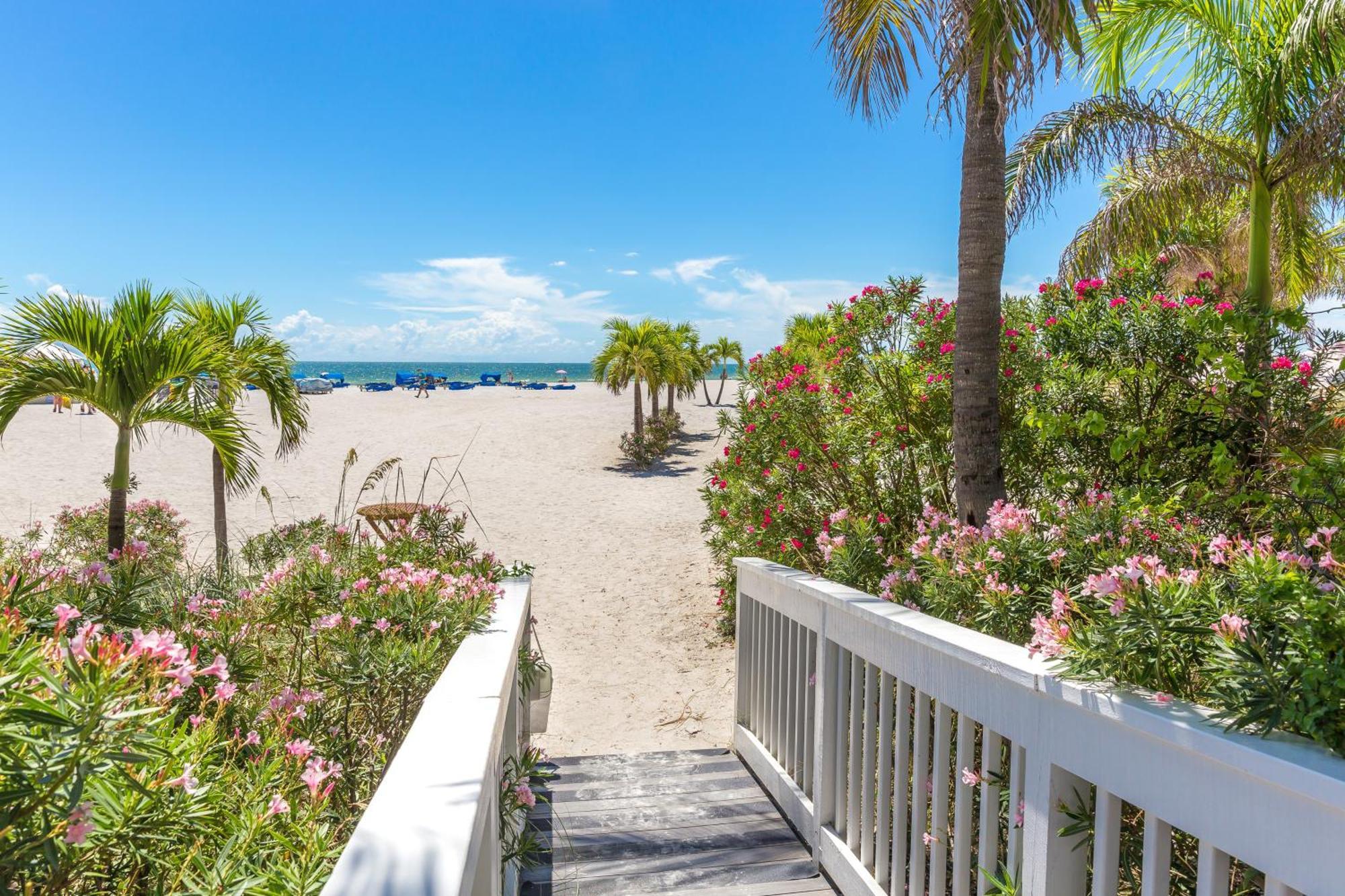 Tropical Paradise Clearwater Beach Værelse billede